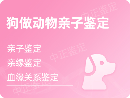 镇江狗做动物亲子鉴定