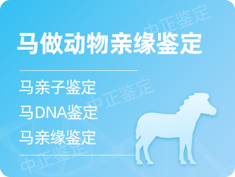 镇江马做动物亲缘鉴定