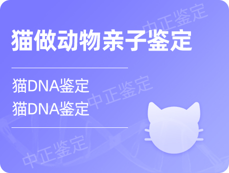 镇江猫做动物亲子鉴定