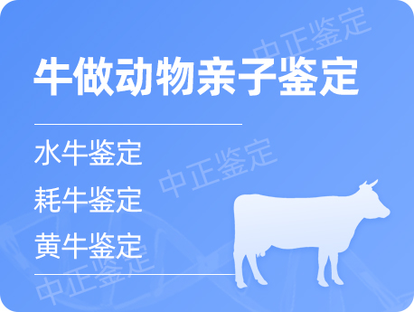 镇江牛做动物亲子鉴定