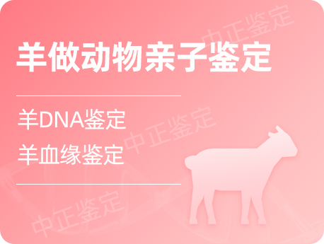 镇江羊做动物亲缘鉴定
