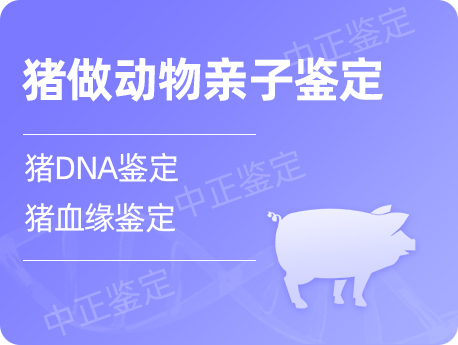 镇江猪做动物亲子鉴定